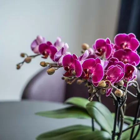 アパート Fn L 5 Klimatisiert Mit Balkon Und Kueche